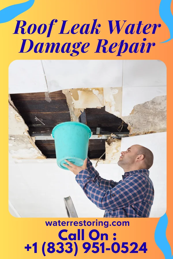 Roof Leak Water Damage Repair in White Oak, TX
